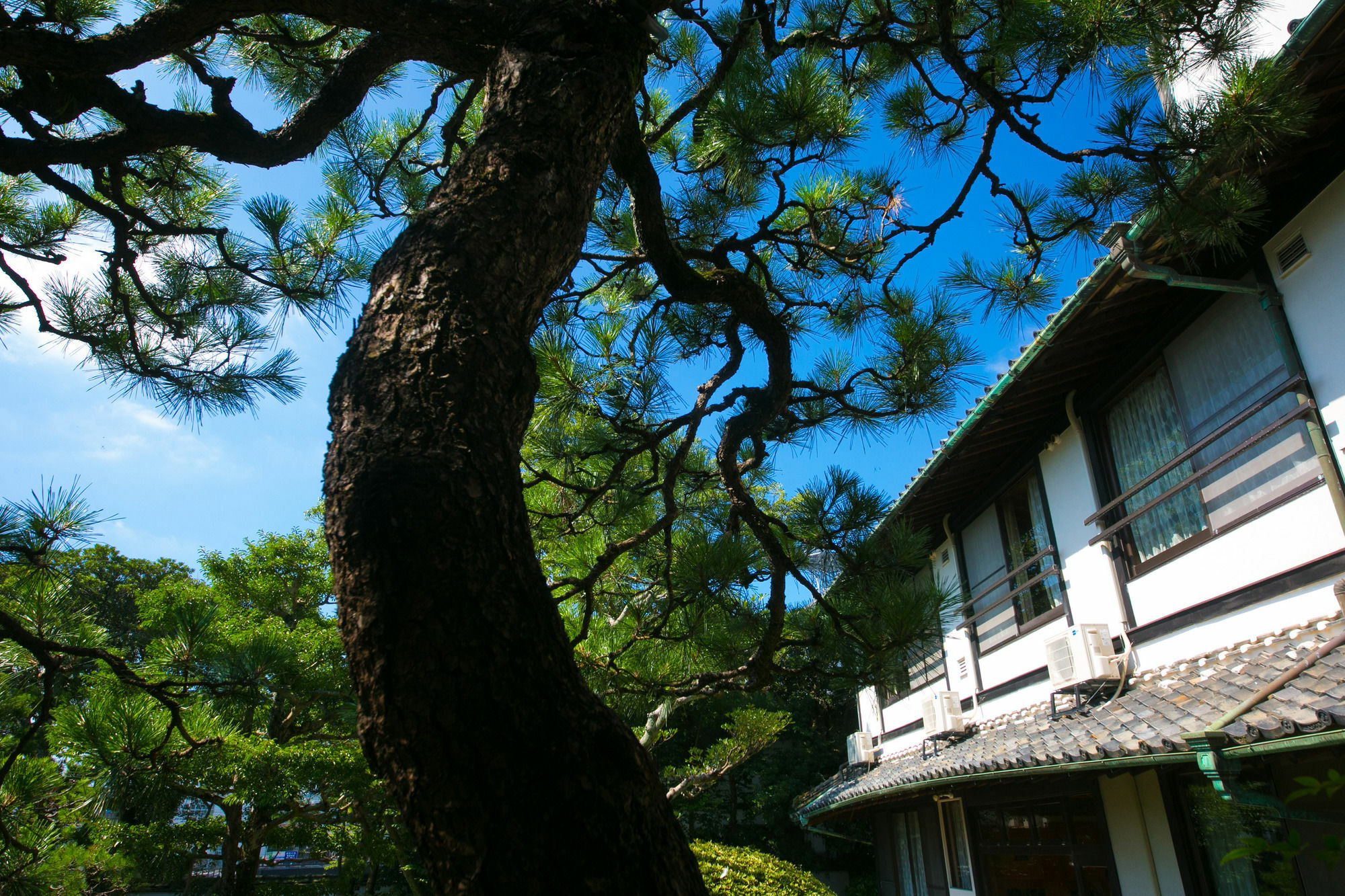 Ryokan Wataya Karatsu Exterior foto